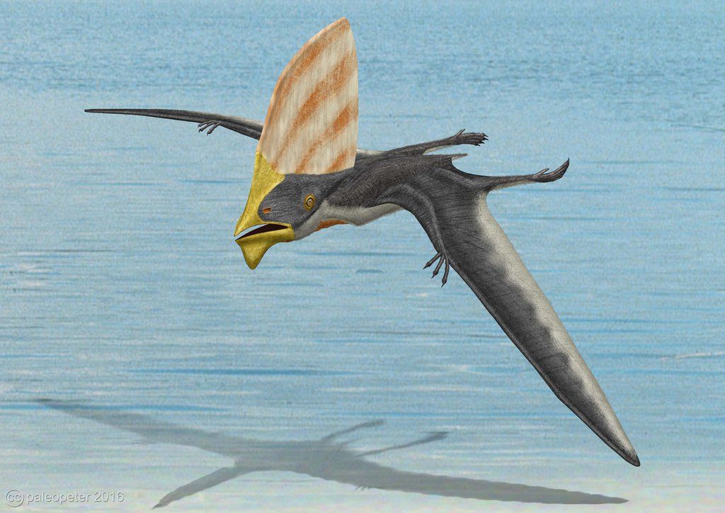 8d650b9c8d5070c78f096deacf2cd8d3