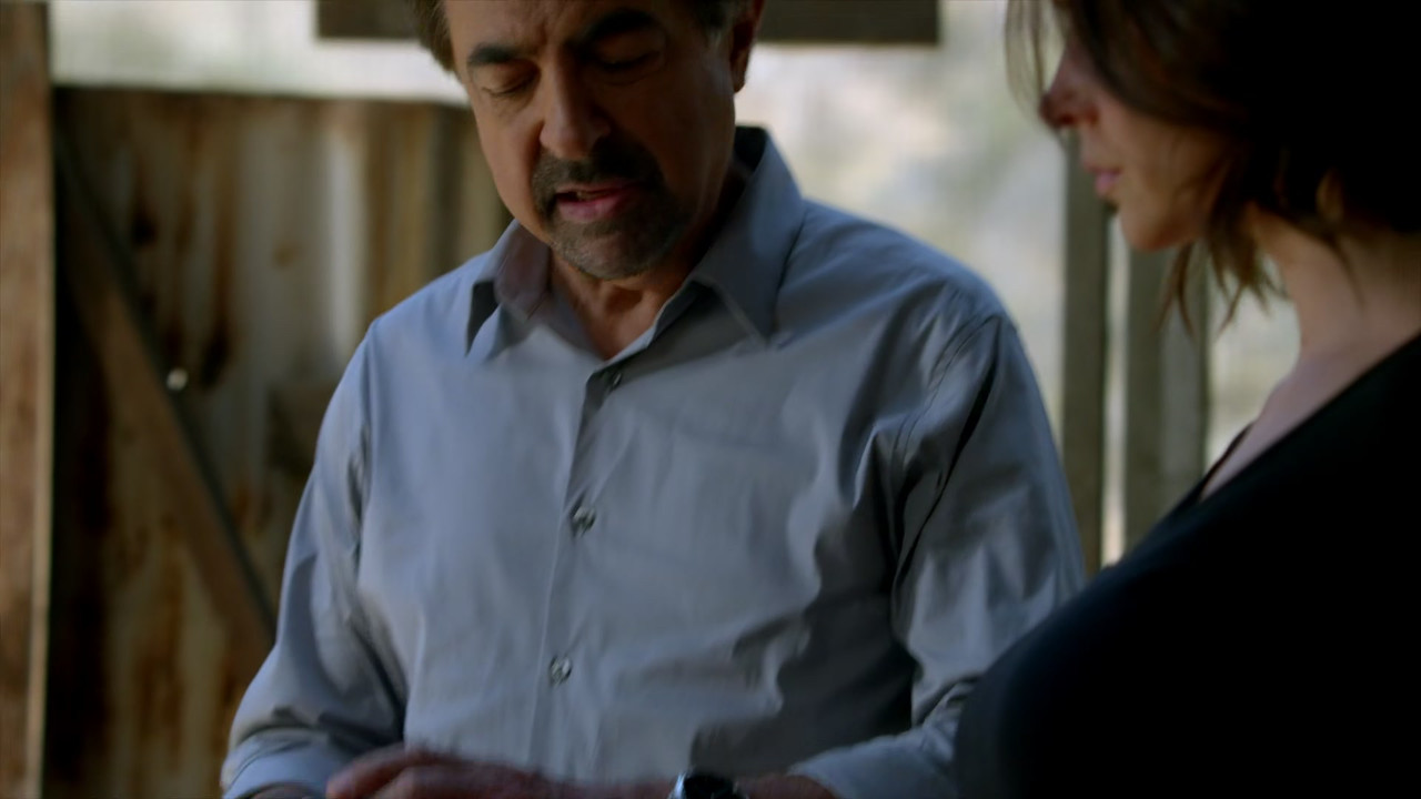 Criminal Minds (2005) - S10E01 - X (1080p WEB x265 FreetheFish)-