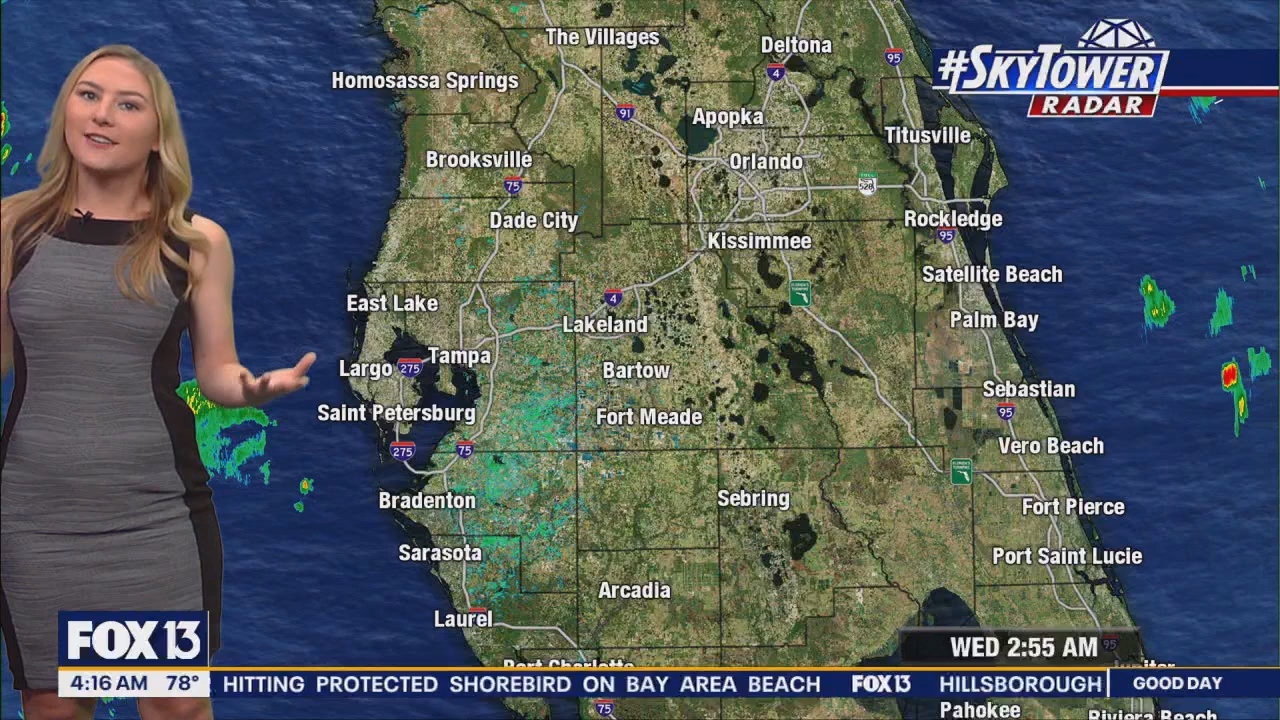 FOX13s Good Day Tampa Bay at 400am_20240724_09000930.ts_snapshot_17.24.240