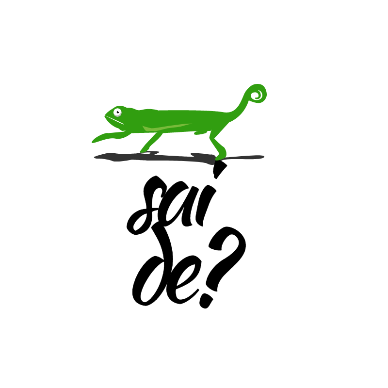 Logo 13