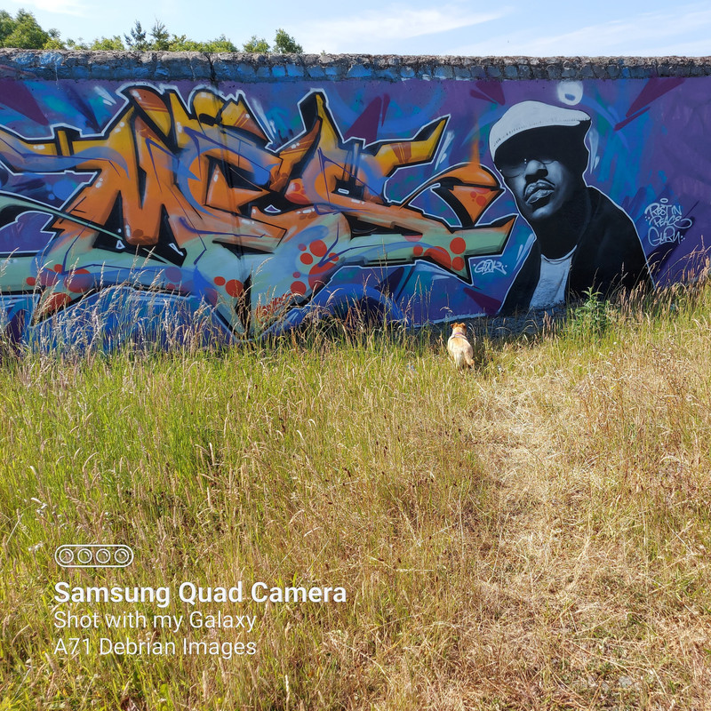 IMG_20210701_235409_487