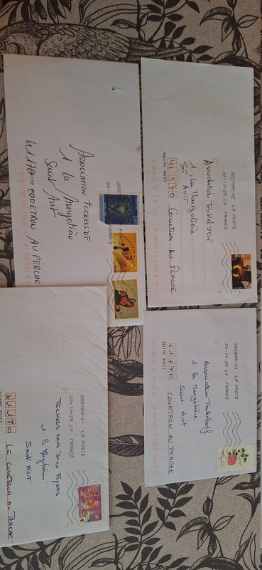 [Image: 20251103-111813.jpg]