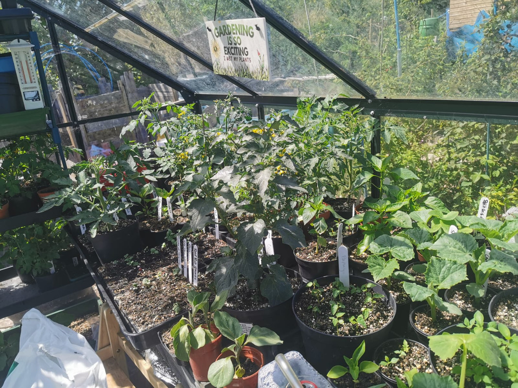 WhatsApp Image 2021-05-23 at 10.35.59 (3)