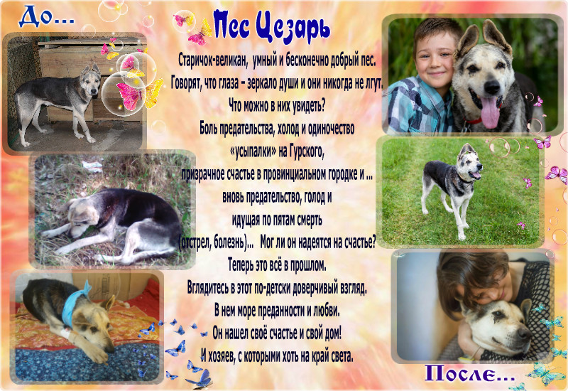 pro100tak-1_6_2019-16_34_42