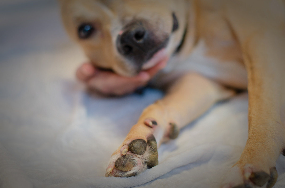 CE0ABD62-DEEC-4E89-8AA2-E0CA4C454FDD