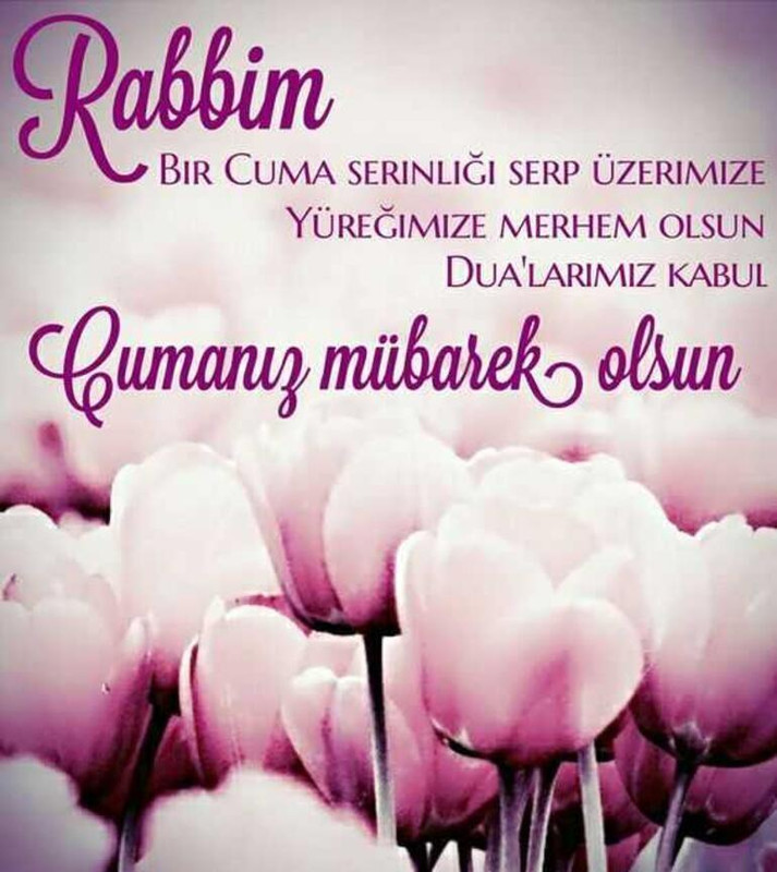 resim