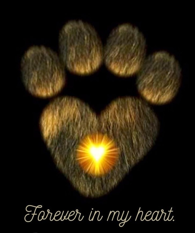 [Image: IMG-0634.jpg]