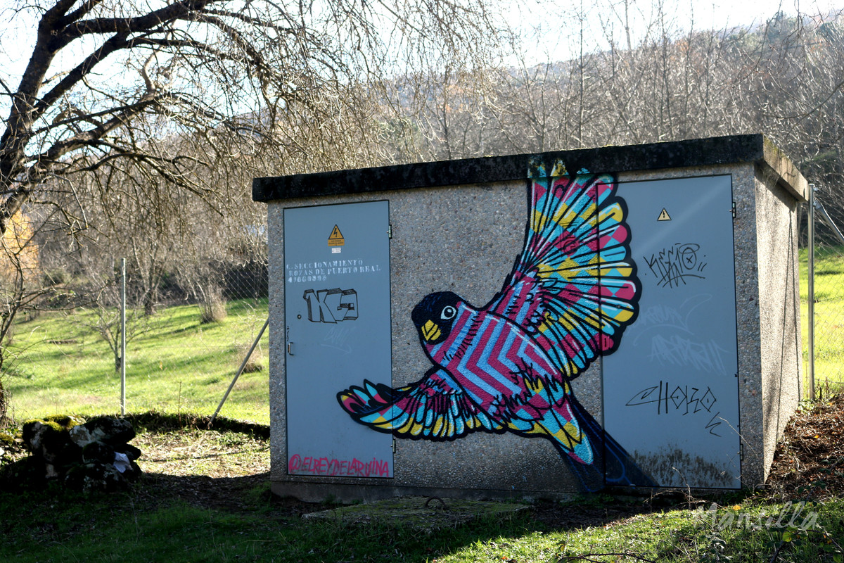 Castañar_RDPR_0279_03