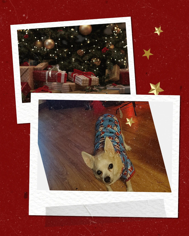 Polish 20251212 164132070