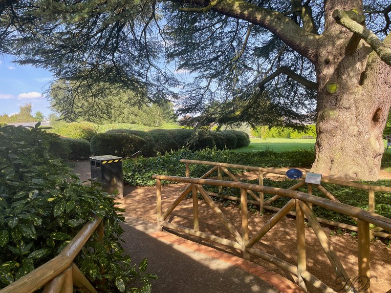 Wooden-fence-Museum-gardens-HD.jpg