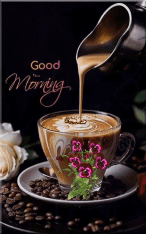 An den Beitrag angehängtes Bild: https://i.postimg.cc/VkDXn49g/oie-1474736y0i-SJD3-X.gif