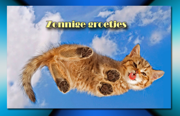 zonnige-groetjes-katje-glas.jpg