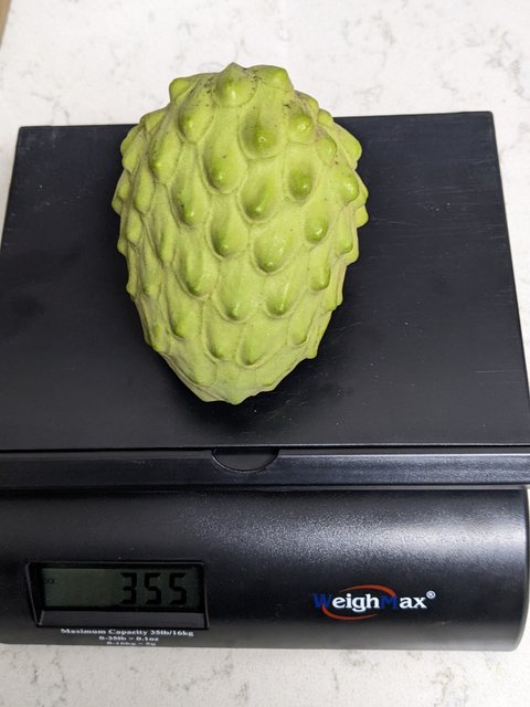 PXL_20221218_011119854.PORTRAIT