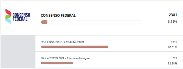 resultados-provisorio-oficiales-interna-consenso-federal