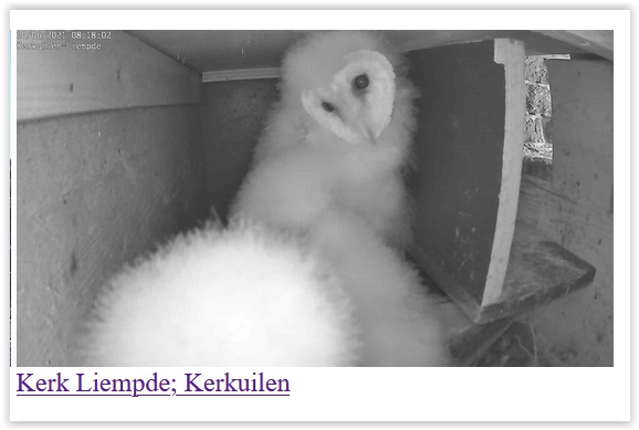 Screen Shot 06-10-21 at 08.18 AM