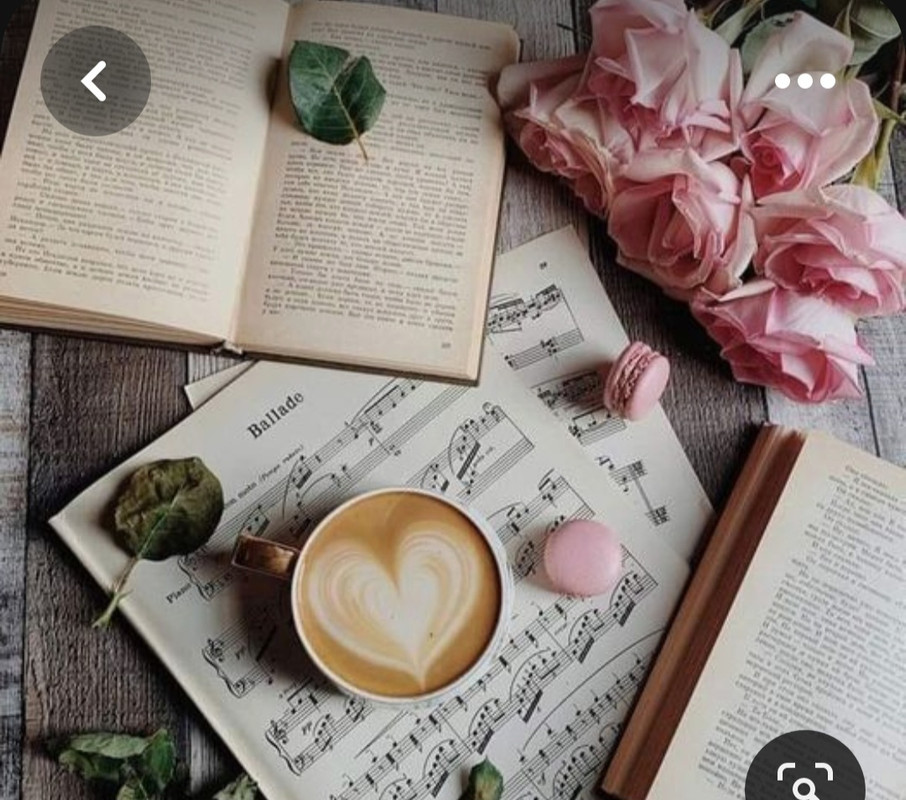 Screenshot_20230528_221915_Pinterest