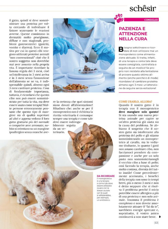 Ga Ma Ago-Set 2023 (10)