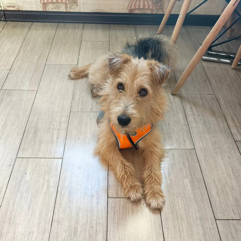 Изображение WhatsApp 2024-09-10 в 11.09.05_81be3441