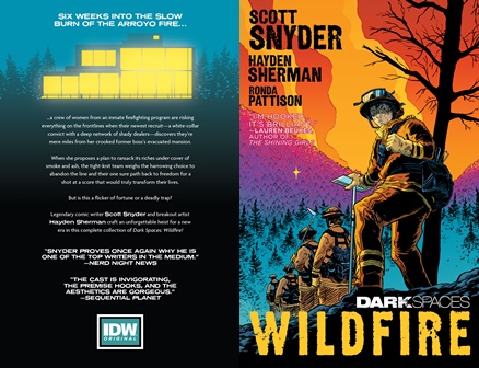 Dark Spaces - Wildfire (2023)