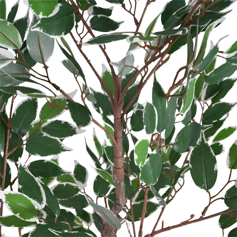 ffb39c6fb678af68112cb06450a137ff