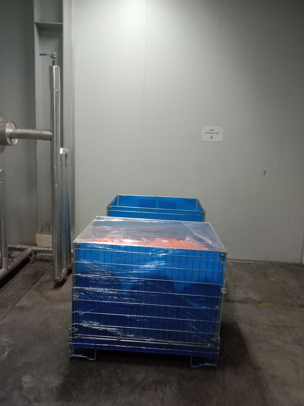 Img 20230815 023644 Postimages