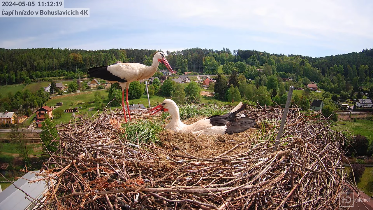 Tiešraidē no uzņēmuma KARA stārķa skursteņa Bohuslavicē pie Trutnovas 12-38-4 screenshot