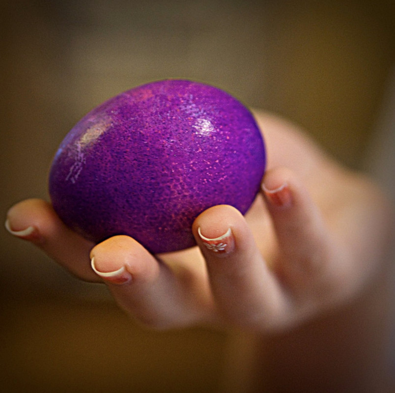purple-egg-dis.jpg