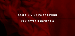 https://i.postimg.cc/VkG5gZmh/BR3.gif