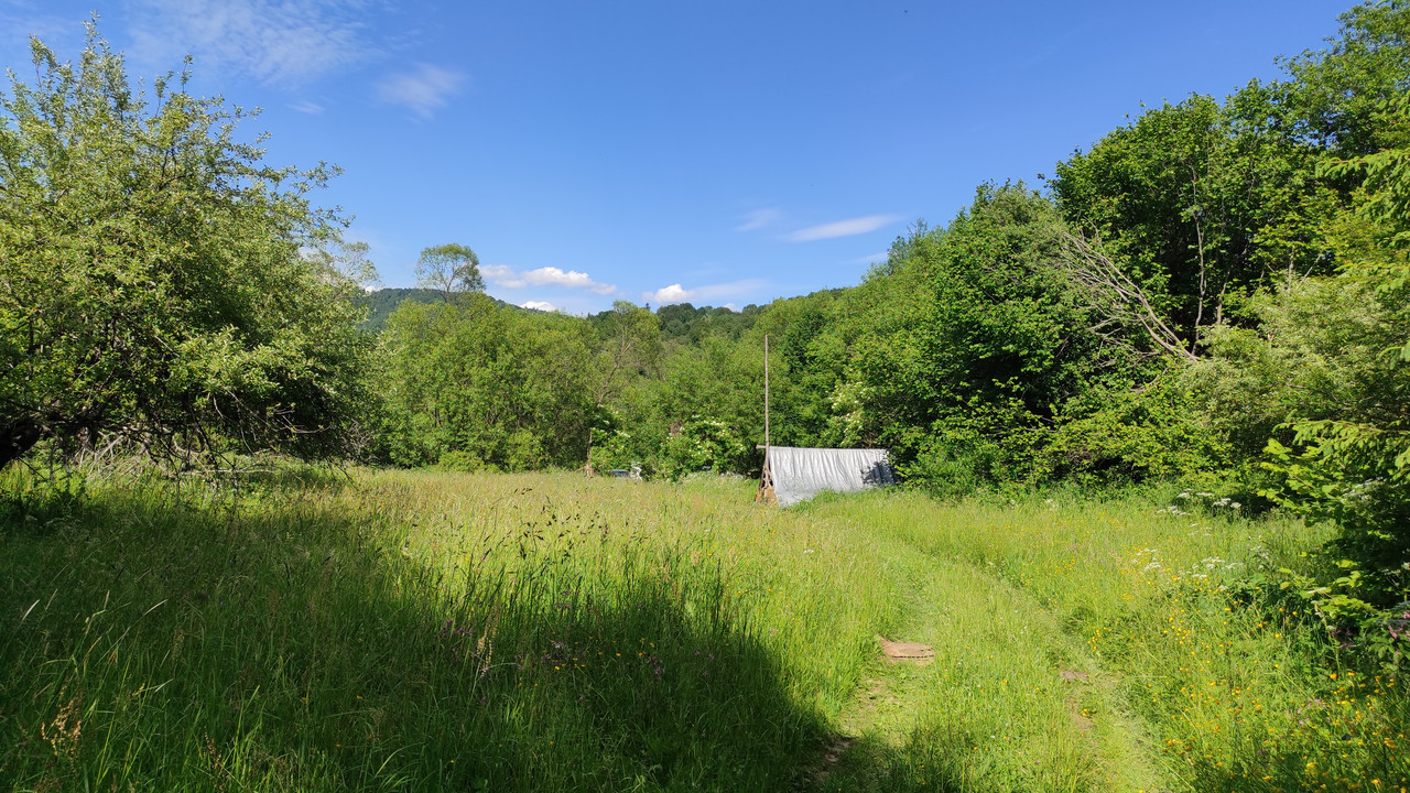 07.22 - IMG_20220618_155222 (Czesio1)