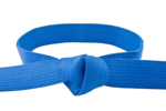 Blue Belt