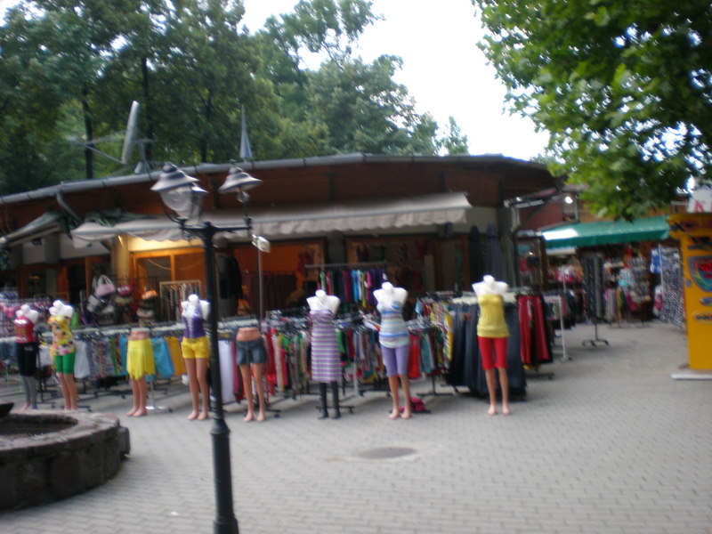 Slika