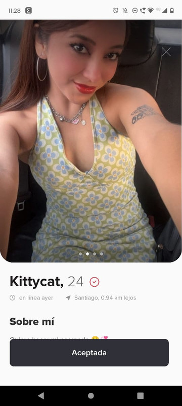 kittycat2.jpg