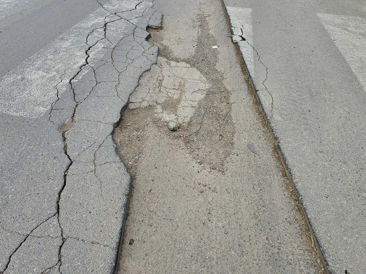 648650622-1257451736506686-7368693238516876977-n