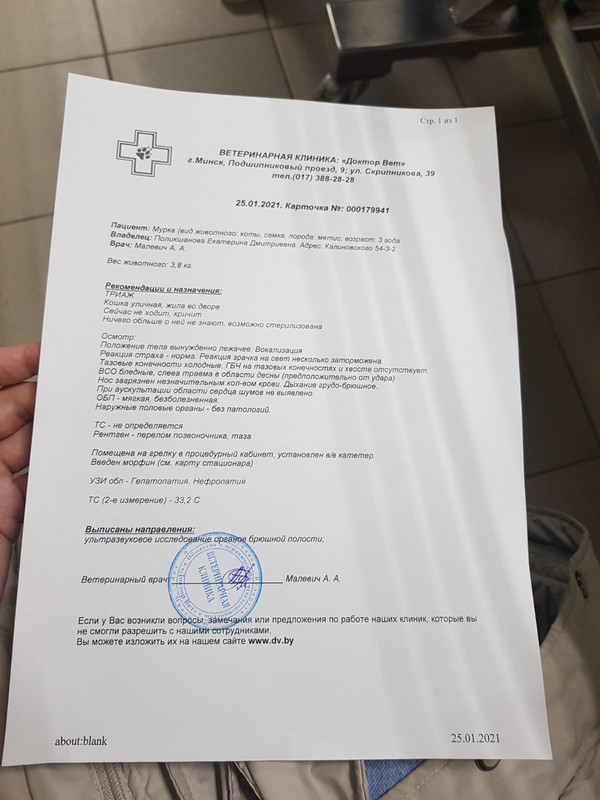 EE19D436-9CB2-4DC1-A1E4-825D44A1E919