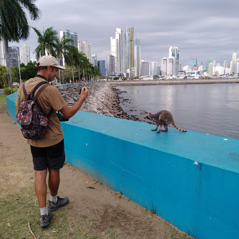 Зимовка в Центральной Америке-2024, семь стран за два месяца - не съесть, но надкусить.