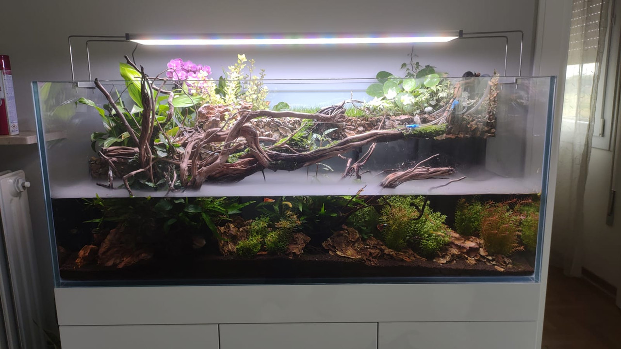 WhatsApp Image 2021-05-11 at 16.25.38 (1)