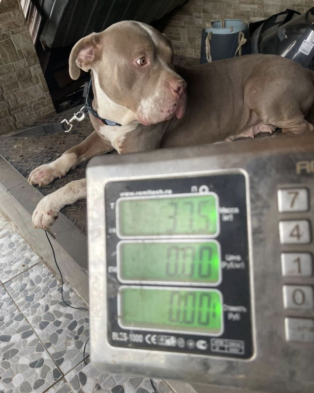 Снимок экрана 2024-04-29 в 10.59.55