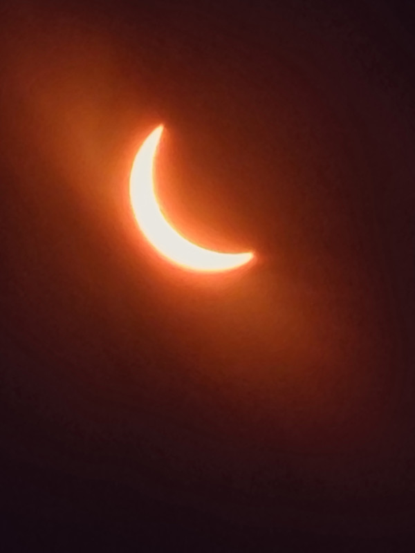 20240408_153156