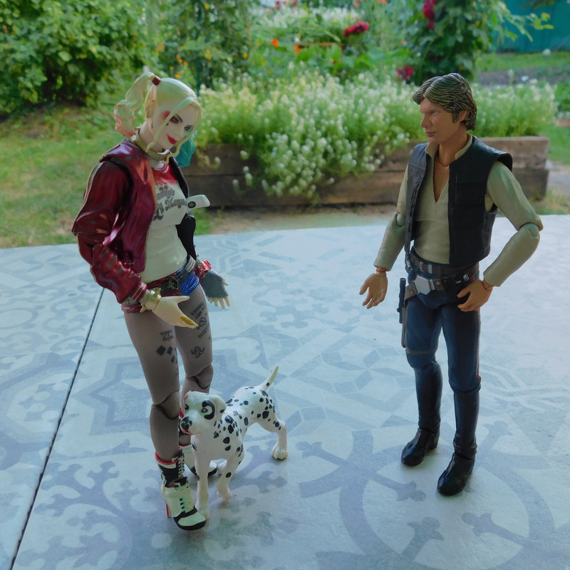 Дачно-Харлинский июнь-июль 2024 285