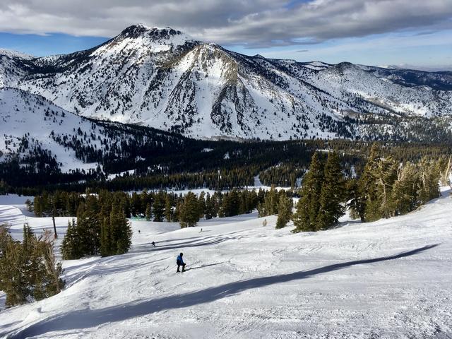 [Image: F452-CE4-A-DD47-447-E-8-EBA-566-DFD0-F1-B56.jpg]