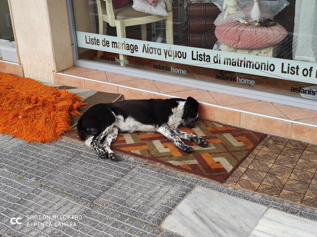 IMG_20200307_103718