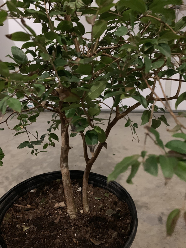 57882B5D-76A1-40BF-A96C-0CC83752EF55