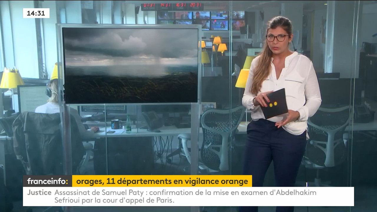 06.28 - 12.59.00 - Le 14h-17h. Au sommaire   Vrai ou fake. - francein....ts_snapshot_00.35.14.260