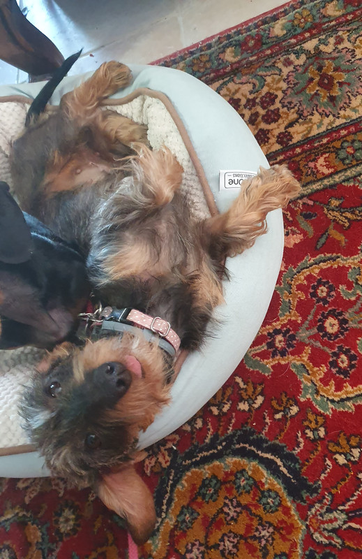 [Image: 20211112-185640.jpg]