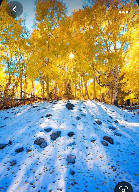 Screenshot_20231101_221813_Pinterest