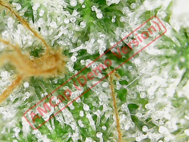 att y K418BAkuww92Jr TSAh RTdiug1Ntxl4BY0j c Vbl BG8