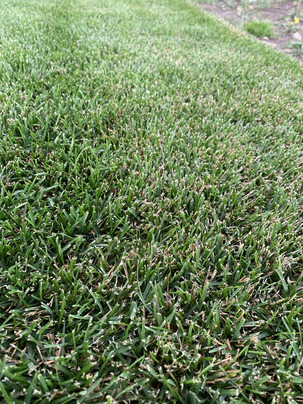 CD7DB9EA-32FB-4DFC-BEC3-24BC7811C992