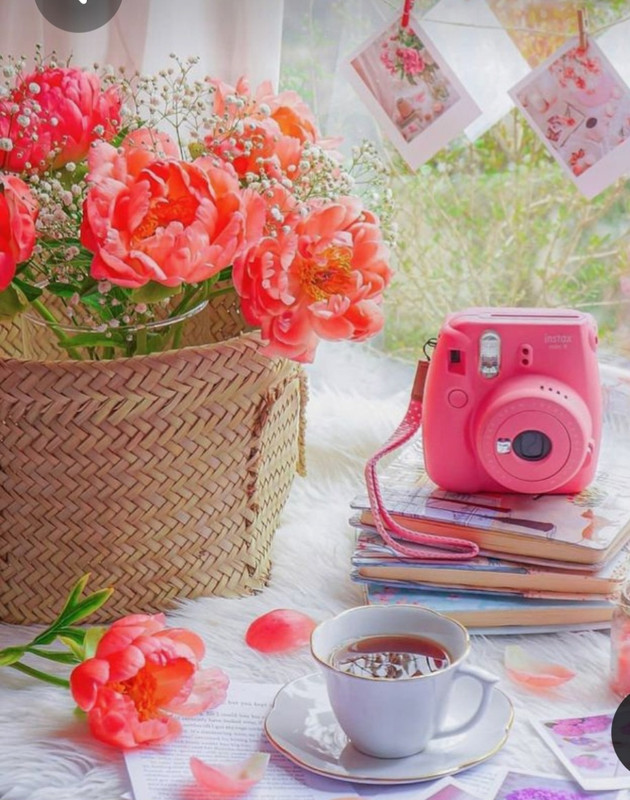 Screenshot_20230305_011812_Pinterest