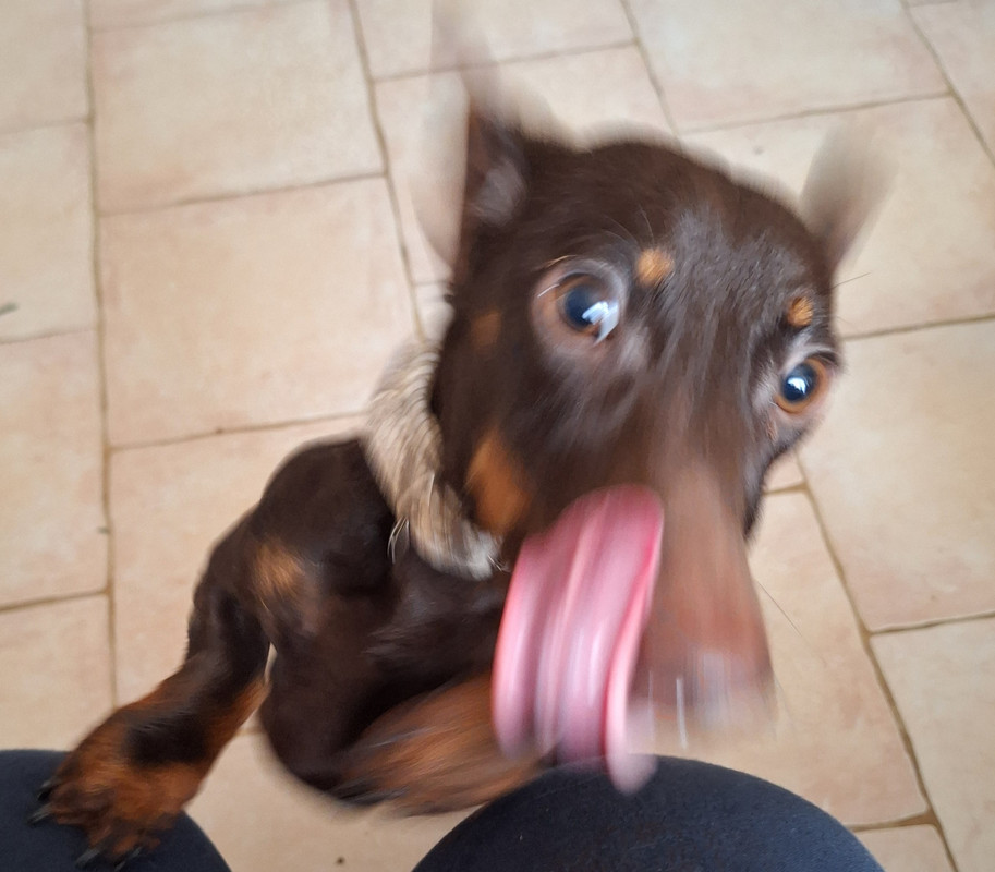 [Image: 20240325-093435.jpg]