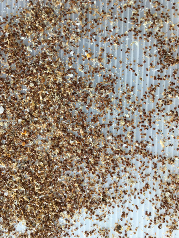 D887E55C-10AA-407E-8C51-D9CEA8419807